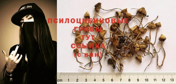 экстази Беломорск