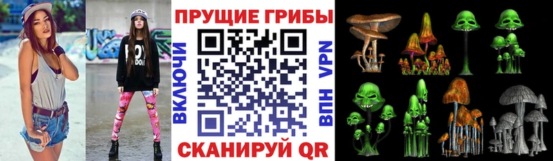 даркнет сайт Куйбышев нарко площадка Telegram Псилоцибиновые грибы мицелий